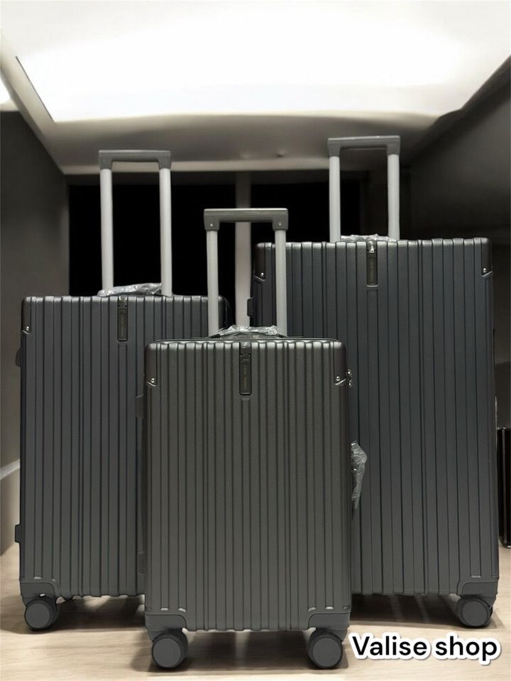 Valise de lux